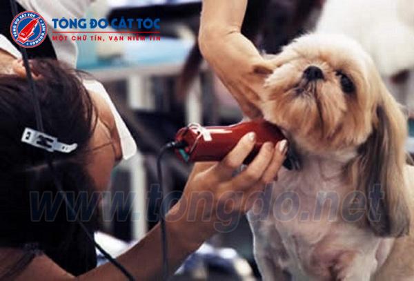 Tông đơ cắt lông chó, mèo, thú cưng chính hãng SALE 40% 2