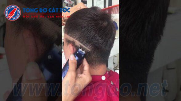 tong do chan vien loai nao tot