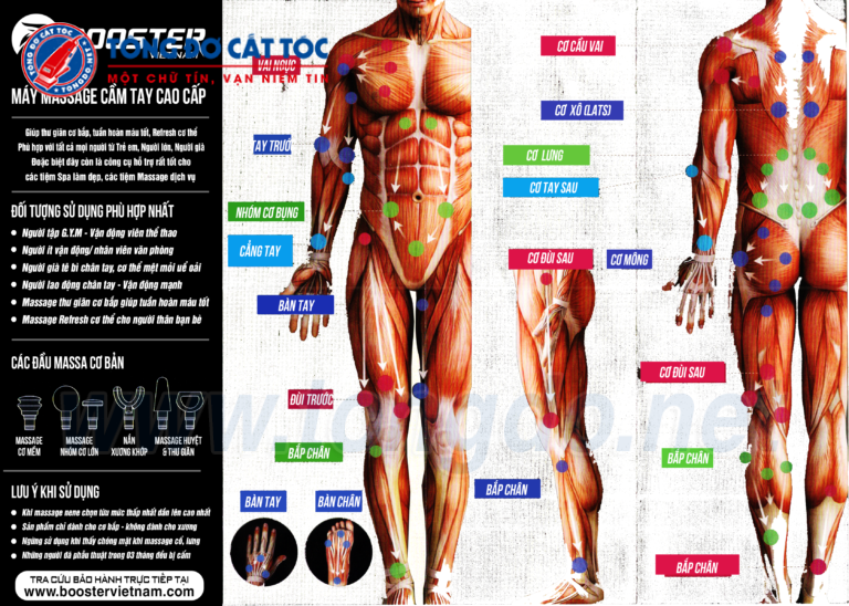 booster-768x548 booster 768x548 1