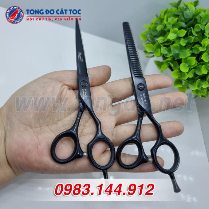 wahl-den-5 wahl den 5