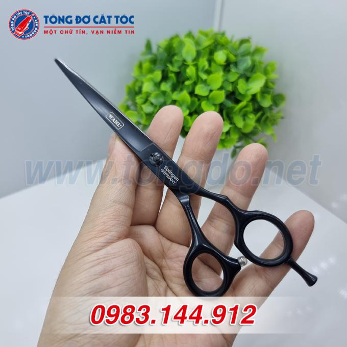 wahl-den-6 wahl den 6