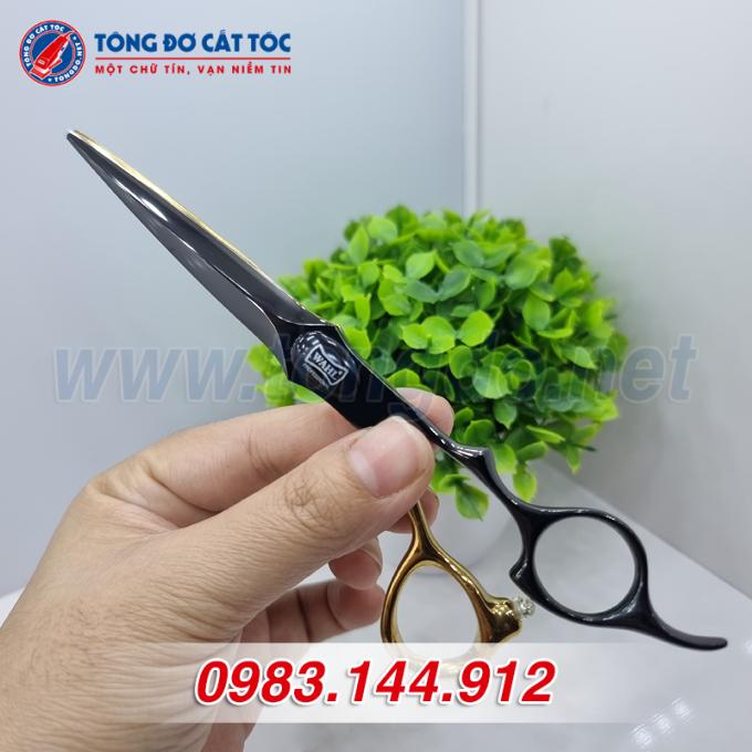 wahl-den-vang-1 wahl den vang 1