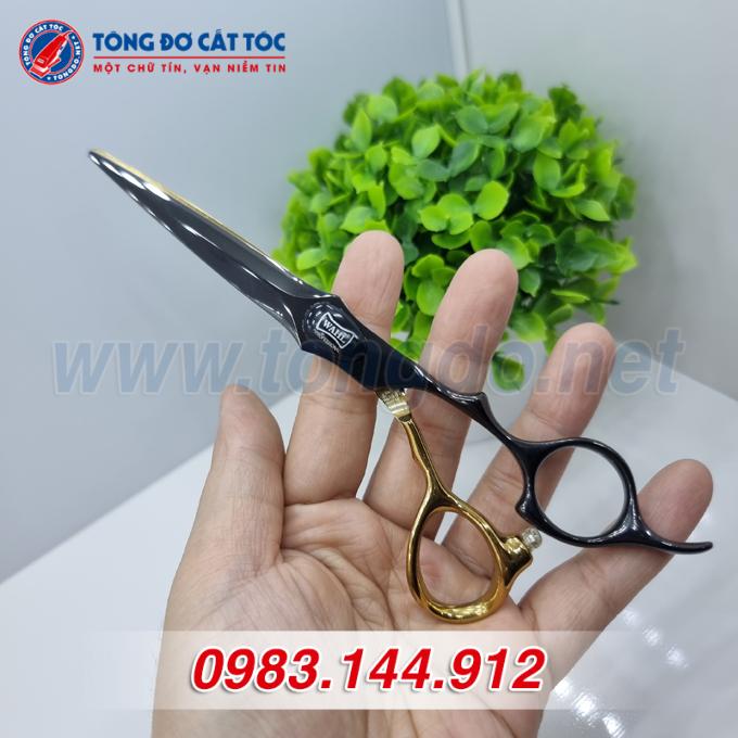 wahl-den-vang-2 wahl den vang 2