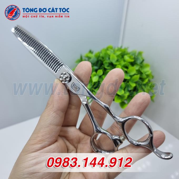 wahl-trang-1 wahl trang 1