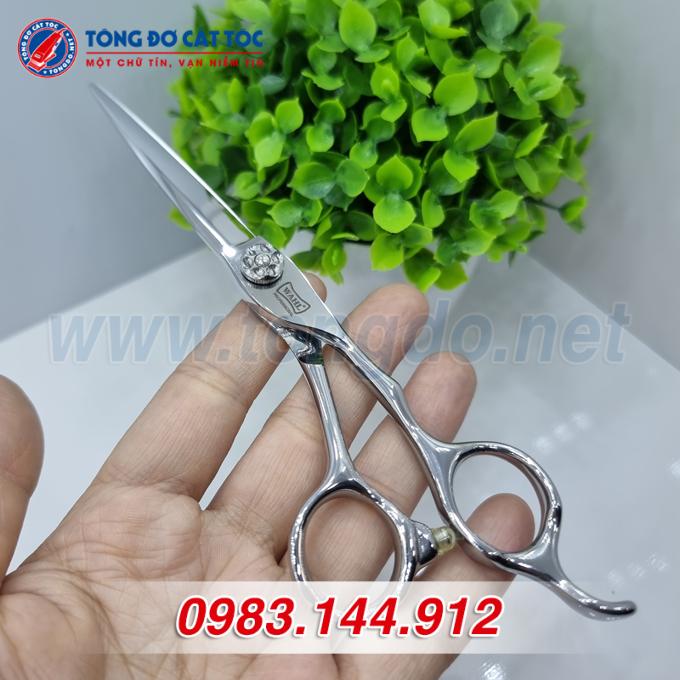 wahl-trang-4 wahl trang 4