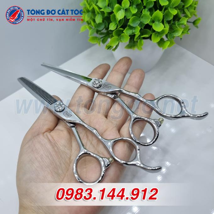 wahl-trang-7 wahl trang 7