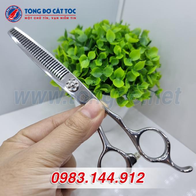 wahl-trang-8 wahl trang 8