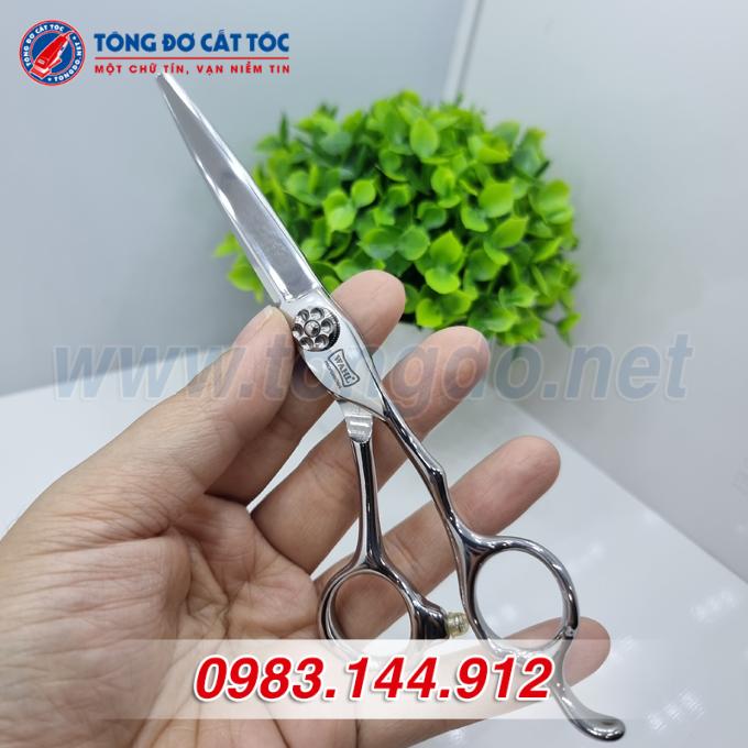 wahl-trang wahl trang